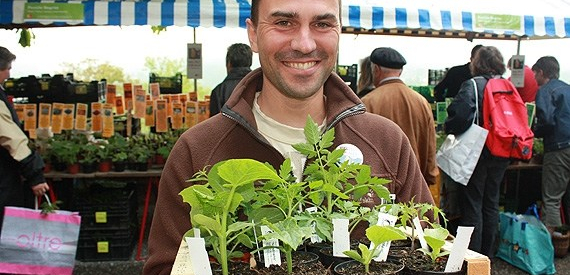 3a_setzlinge__verfügbar_machen_zugang